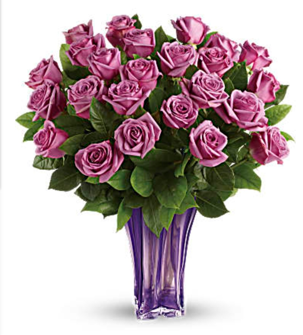 Roses all colors Lila Lebanon